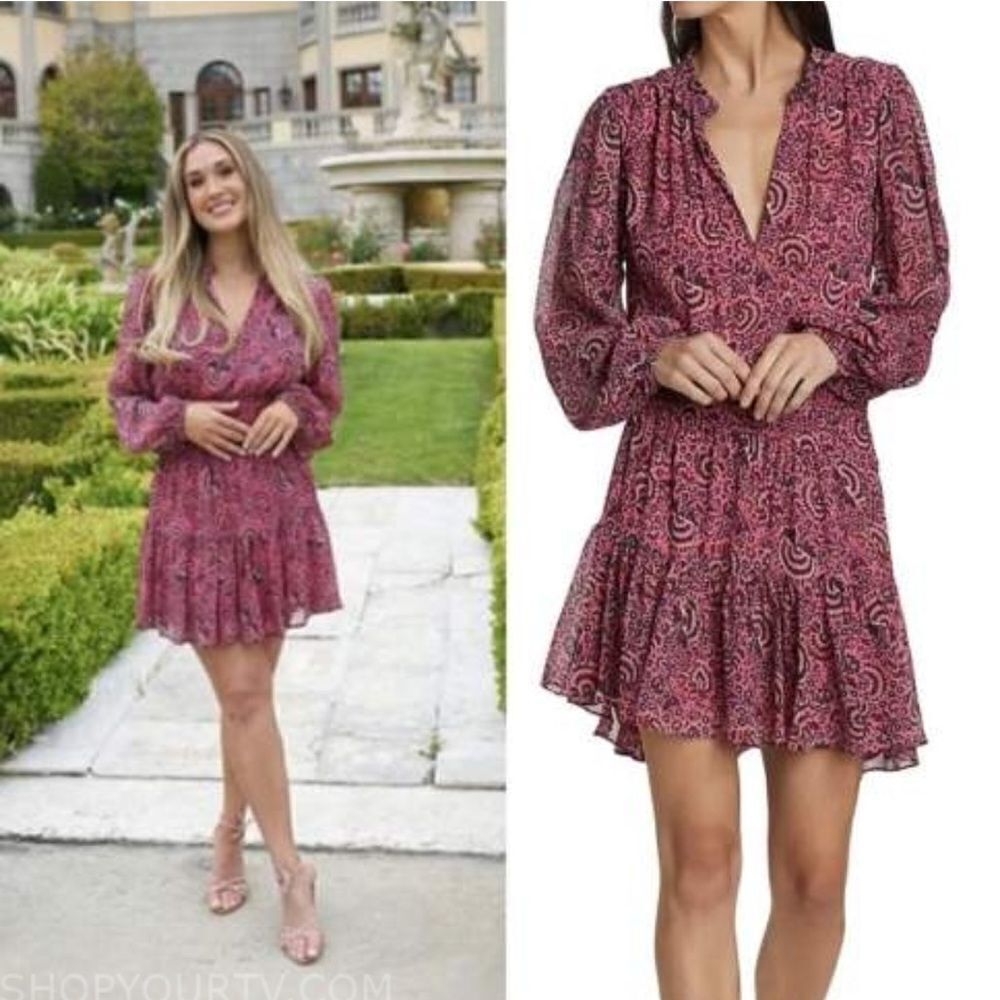 NWT ALC Sari Silk Mini Dress Pink Floral Size 2 Revolve